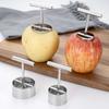 Molde de acero inoxidable 304 para peras guisadas, descorazonador de peras al vapor, herramienta para extraer el corazón de arroz y manzana, descorazonador de frutas grande