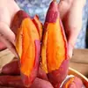 Batatas de color rojo castaño, recién cosechadas, ñame de temporada con un corazón dulce, batatas de color rojo sandía molidas en arena, batatas ahumadas