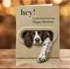 Cartão de Aniversário Engraçado para Cachorro