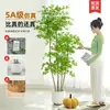 Decoración de planta verde artificial, Nandina domestica, planta de interior grande de pie de alta gama en maceta, planta decorativa para una atmósfera sofisticada