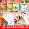 Jornal da Floresta Primavera, Verão, Outono, Inverno Conjunto Completo de 4 Volumes Edição Genuína para Quarta Série Segundo Semestre Lista de Livros Didáticos Sincronizados para Alunos do Ensino Fundamental Terceira Série