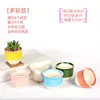 Maceta para pulgar suculenta mini mini maceta para pulgar maceta de cerámica para flores suculentas planta creativa flor pequeña Ma Long mesa Mai Tai Bao