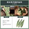 Hojas de Zongzi Hojas Marrones Grandes Secas Hojas de Bambú Frescas Hojas de Zongzi Secas Hojas Comerciales de Indocalamus Materiales al Por Mayor