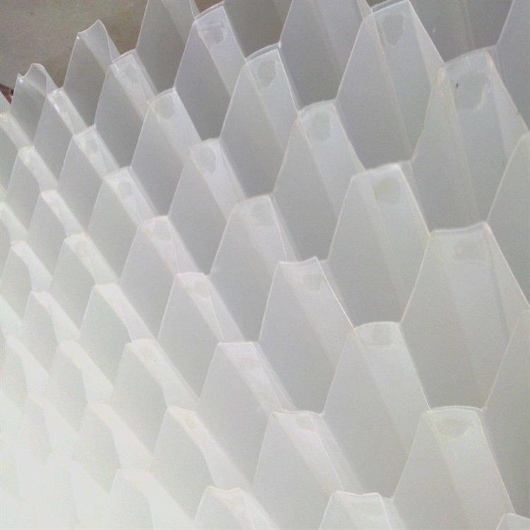 蜂窝斜管填料 (8)