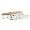 Nuevo Cinturón de Estilo Transfronterizo para Mujer con Hebilla de Pin Texturizada, Cinturón Fino Casual Simple de Cuero PU para Trajes y Vestidos