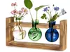 Ventas Directas de Fábrica Contenedores Hidropónicos, Floreros, Artículos Decorativos para Sala de Estar, Oficina, Dormitorio, Adornos Decorativos Creativos