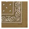 Transfronteiriço americano 23g flor de caju de algodão ao ar livre equitação quadrado hiphop hip-hop paisley cachecol atacado