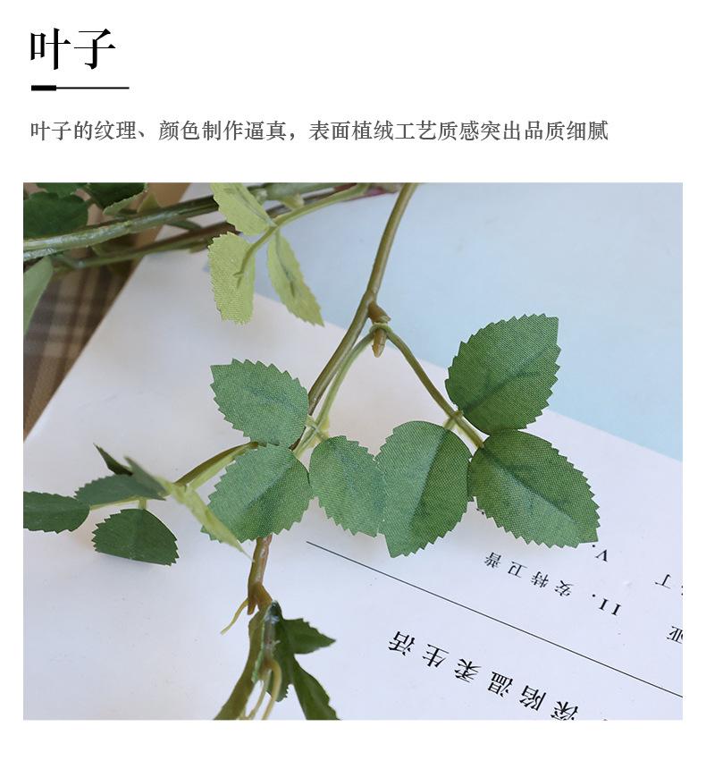 迷你微笑蔷薇_14.jpg