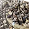 Champiñones Perla Secos, Mini Champiñones Shiitake, Venta al por Mayor a Granel, Champiñones Shiitake Pequeños de Carne Gruesa, Champiñones Shiitake Tostados, Champiñones Shiitake Secos Especiales para Uso Comercial