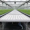 Estufa para Mudas de Maré Painel ABS Cama de Mudas com Irrigação por Maré Cama de Mudas Móvel com Circulação de Água e Fertilizante