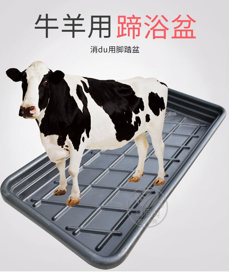 牛蹄浴消毒槽A详情页(1).jpg