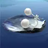 Pendientes de Moda de Perlas Ins con Forma de U de Doble Uso Redondos de Alto Brillo Joyería para Orejas Estilo Mismo que Revistas Pendientes de Perla al por Mayor