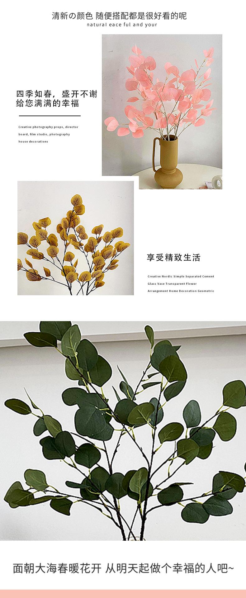苹果叶详情_06.jpg