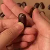 Grãos YihuaEspécimes Naturais de Casca de Fruta para Decoração Ventoins de Manivela DIY Grãos de Flores Pequenas Sementes de Plantas Materiais Artesanais