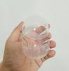 62x 67mm Fondo Plano Gashapon Comida Japonesa Muñeco de Juego Relleno de Gashapon Juguete Exhibición Anime Caja Ciega Empaque