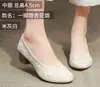 Zapatos de Tacón Alto de Estilo Chino Nuevo Zapatos a Juego para Cheongsam de Mujer Retro Estilo Antiguo de Pekín Antiguo Zapatos de Tela Bordados Estilo Han