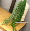 Helecho Colgante Estilo Bosque Techo Pared Verde Planta Decoración Enredadera Tipo Hilo Colgante de Helecho