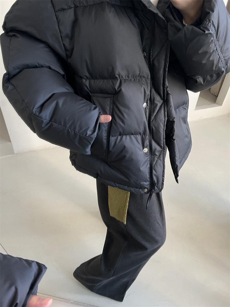 2024-11-26 150500.jpg