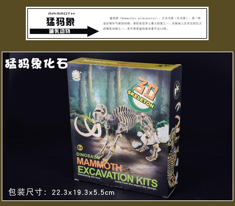 挖掘恐龙详情图14