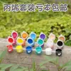 Envío Gratis Set de Pigmentos Acrílicos 12 Colores Pintura de Pared Desechable Pigmento para Camisetas Pintadas a Mano Zapatos Pintura Acrílica para Madera DIY