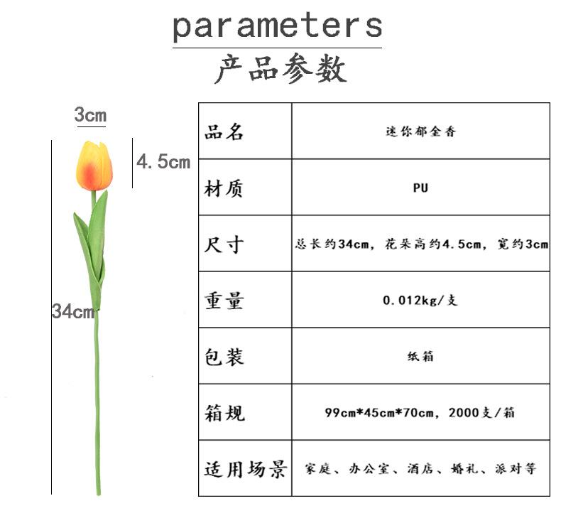 郁金香_02.jpg