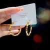 Pendientes de aro de metal estilo europeo y americano, estilo frío, de plata S925, distintivos para mujer 44093
