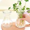 Jarrón de Vidrio Hidropónico para Jacintos Narcisos Potos Contenedor de Plantas Jarrón Transparente Simple Arreglo Floral Decoración del Hogar