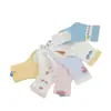 Calcetines Gruesos de Algodón para Niños Otoño e Invierno Jacquard de Dibujos Animados Sin Costuras Bloques de Color En Caja Calcetines para Bebé Venta al por Mayor 0~5 Años