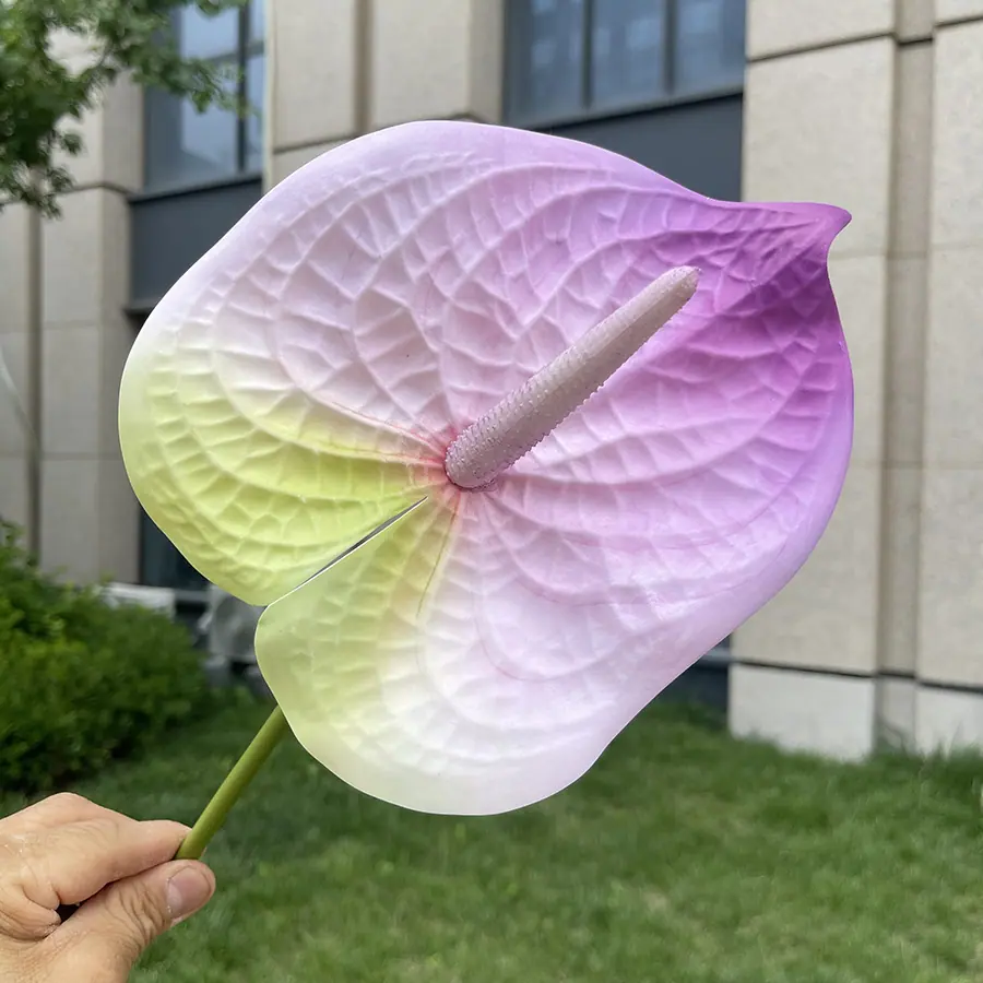 1号3D打印大红掌-xjmlkx 7#浅绿底浅紫.JPG