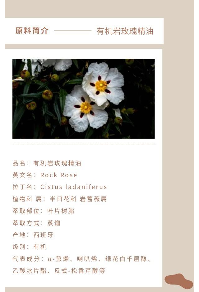 岩玫瑰精油.jpg