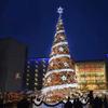 Árbol de Navidad Nórdico Artificial Pe Decoración Navideña Adorno de Pie Amazon Deseo Más Vendido Impermeable Favorito de Músico