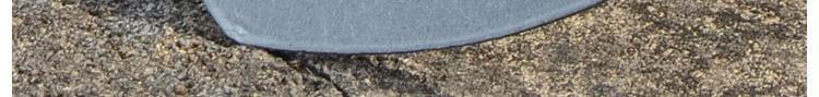 DM_20241107084508_008.jpg