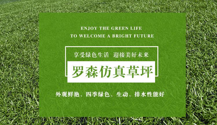 5733535874_1241604798