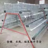 Gaiola de Armazenamento de Ovos Gaiola de Fazenda para Galinhas Poedeiras Gaiola de Frango Escada Equipamento de Avicultura Conjunto Completo de Gaiola Portátil para Galinhas Poedeiras