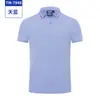 Roupas de Trabalho Express, Roupas de Verão, Manga Curta Feito Sob Medida Decoração para Instituição Educacional, Camisetas Polo para Empresa de Limpeza, Logo Formal Feito Sob Medida