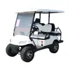 Carritos de Golf Eléctricos, Vehículos Turísticos para Recorridos, Transportes para Hoteles y Resorts, Carritos de Golf Turísticos para Campus