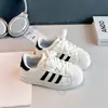 Tênis Esportivo Feminino 2026 Outono Novo Estilo Primavera e Outono Biqueira Shell Sapatos Infantis Sapatos Brancos Crianças de Médio e Grande Porte Tênis de Skate Tendência