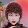 Nuevo Estilo Belleza Gasa Elástica Encaje Tocado para Cubrir Cabello Blanco y Controlar Cabello Suelto, Sombrero en Capas, Moda Hogar Transpirable Sombrero Pequeño