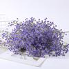 Gipsofila Simulada Atacado Flores Artificiais Flores Simuladas Guia Adereços de Foto Enfeites Casamento Decoração de Casamento Arranjo Arranjo de Flores
