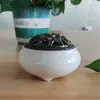 Servicio de Impresión de Etiquetas y Envío de Producto Popular Transfronterizo para Quemadores de Incienso de Flujo Inverso de Resina Cerámica