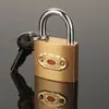 Candado de cuerpo grueso con anillo de abeto, cerradura para cajón de puerta, candado pequeño de cabeza de hierro para caja de medidor doméstico, apertura única, venta al por mayor, múltiples especificaciones