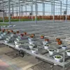 Canteiros Móveis para Plantio de Hortaliças e Flores, Telas para Canteiros, Estruturas de Canteiro de Estufa Encaixáveis, Carrinhos Galvanizados a Quente para Mudas