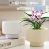 Macetas de Cerámica con Platos para Uso Doméstico al por Mayor, Macetas para Suculentas de Estilo Ins Simple Lujo Ligero Estilo Crema, Disponible para Dropshipping