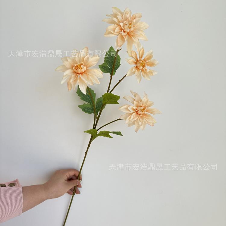 微信图片_202303271336516_副本