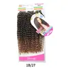 Fábricas Transfronteiriças Europeias e Americanas Fornecem Diretamente Perucas de Crochê Onduladas de Água, Perucas de Dreadlock, Cabelo Passion Twist para a Amazon