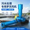 Soplador de lóbulos de tres álabes de la fábrica original, especializado para equipos domésticos, industriales, médicos, piscinas bioquímicas y tratamiento de aguas residuales.