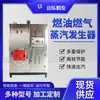 Generador de Vapor de Gas Combustible Vaporizador de Alta Temperatura para Cocinar al Vapor Tamales y Procesamiento de Pepino de Mar Fabricante Inteligente Totalmente Automático Fabricante