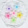 Flores de Cinco Pétalos Graduadas Color Hielo Dibujo Animado Piezas de Accesorios DIY para Zuecos, Kit de Materiales con Pegamento Crema Resina Piezas Pequeñas