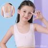 Fase 2 do Período de Desenvolvimento Roupa Íntima Feminina 12-16 Anos Camiseta Interna 100% Algodão Sutiã para Meninas do Ensino Fundamental II e Ensino Médio