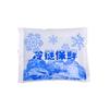 Bolsa de hielo al por mayor punto exprés especial refrigerado enfriamiento de alimentos aviación engrosamiento repetido bolsa de hielo biológico sin agua